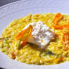 ricetta per risotto ai fiori di zucca risotto ai fiori di zucca e burrata bianco palato ricetta per risotto ai fiori di zucca risotto ai fiori di zucca e burrata bianco palato