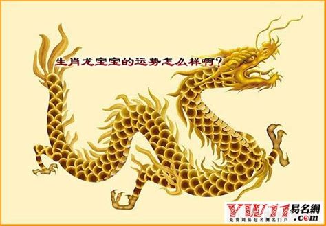 中国古代龙文化变迁：图腾崇拜，寄予美好，是中华文化的源头之一