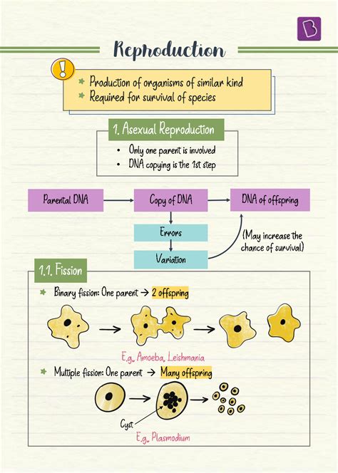 Image result for How Do Organisms Reproduce Class 10 Explanation