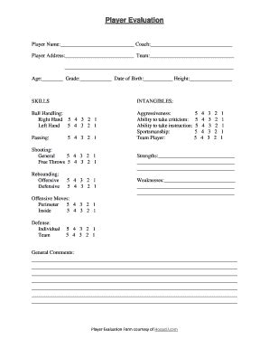 Medford American Little League Player Evaluation - Blank Fillable ...