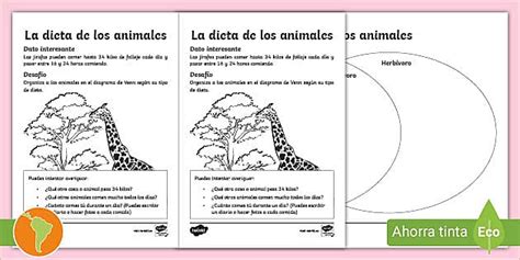 Hoja de actividad: la dieta de los animales- Guía de trabajo