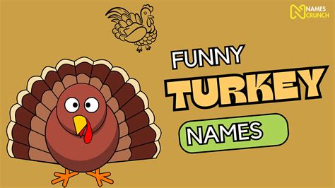 250+ Funny Turkey Names - Names Crunch