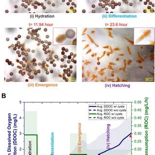 Image result for Understanding O2 Sensor Readings