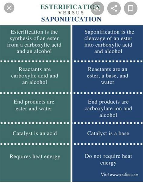 Difference between saponification and esterification ? - EduRev Class ...