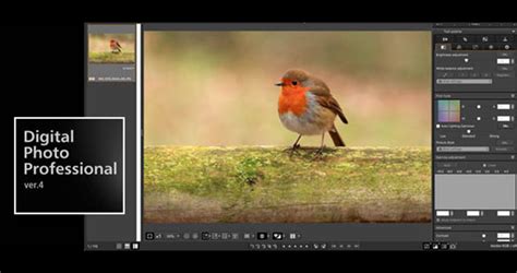 Image result for Open CR3 File