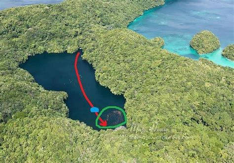 JELLYFISH LAKE (2025) All You Need to Know BEFORE You Go (with Photos ...