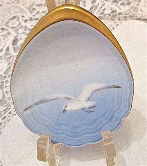 Bing Shells 的图像结果