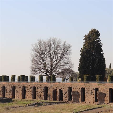 Image result for ASMR Toothpaste