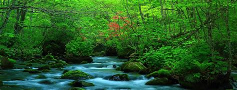 Code of Conduct | UD Trucks