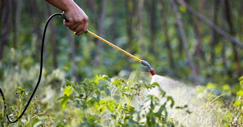 No Endosulfan-related Health Challenges in Kasaragod? | Economic and ...