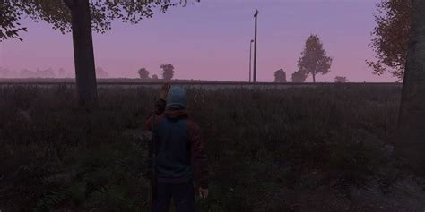 DayZ Beginner 的图像结果