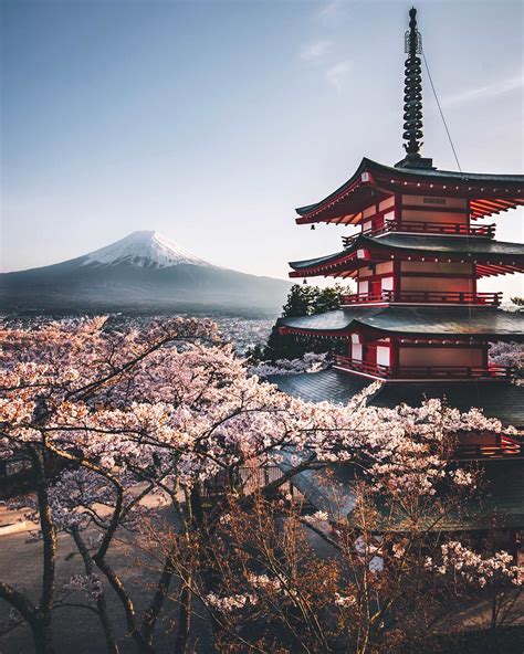 Chureito Pagoda, Mount Fuji & Cherry Blossoms | Explorest