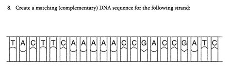 Image result for Complementary Strand Sequence
