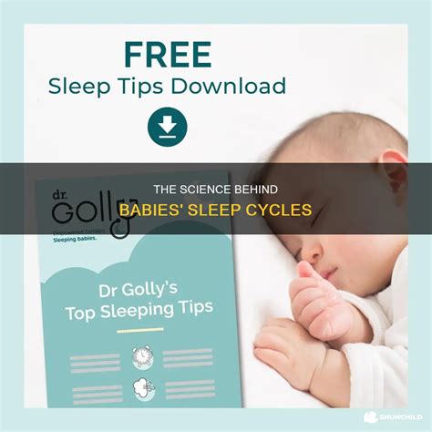 The Science Behind Babies' Sleep Cycles | ShunChild
