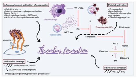 JCM | Special Issue : Multidisciplinary Approach to Severe COVID Infection