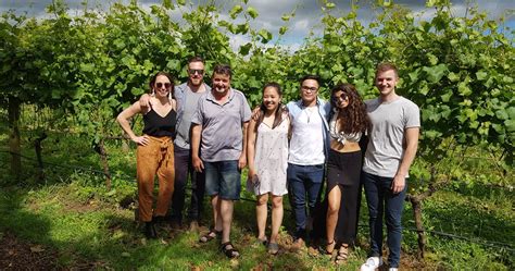 Martinborough Wine Tours - Half-day Tour | Activities & Day Trips in ...