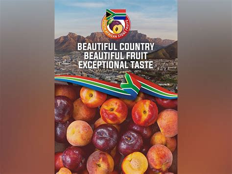 Season's First South African Stone Fruits Arrive in India - A Feast of ...
