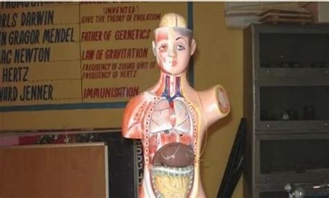 DBM College of Education Sonipat Campus: Photos, Virtual Tour