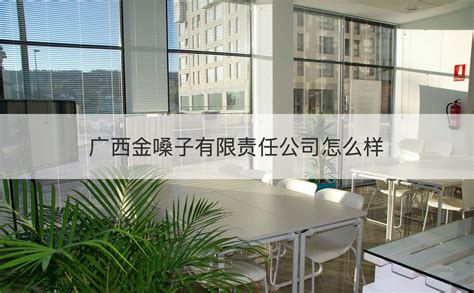 广东大喜装饰设计工程有限公司 - 东莞市建筑装饰协会