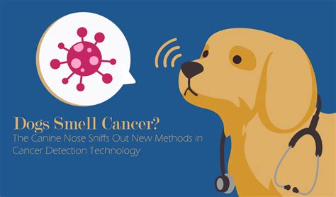 Dogs Smell Cancer? – The Canine Nose Sniffs Out New Methods in Cancer Detection Technology - USC ...
