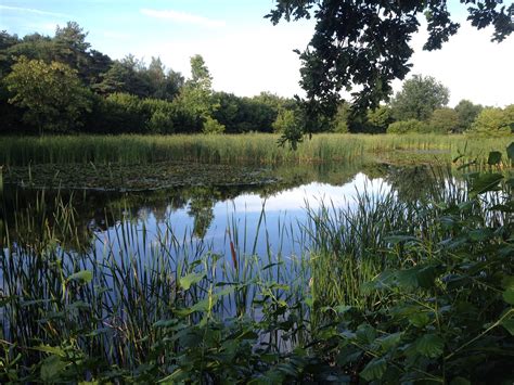 THE 10 BEST Places to Visit in Ramstein-Miesenbach (2026)