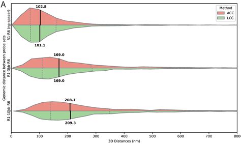 FISH-Dist: An Automated Pipeline for 3D Genomic Spatial Distance ...