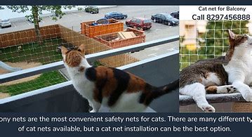 Pigeon net | Safety nets | Sports net - Call 8297456888 - birdsnet.in