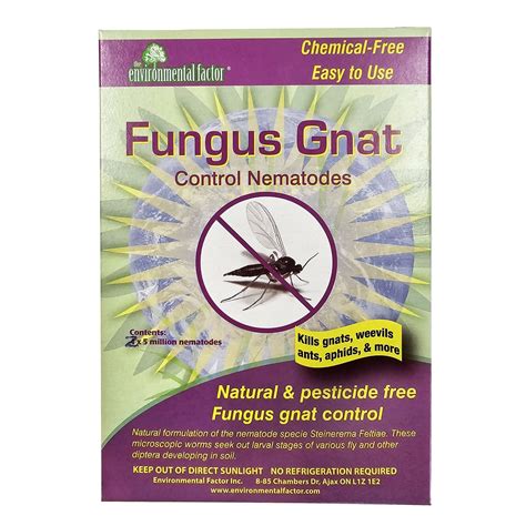 The Enviromental Factor Fungus Gnat Control Nematodes, Pesticide Free ...