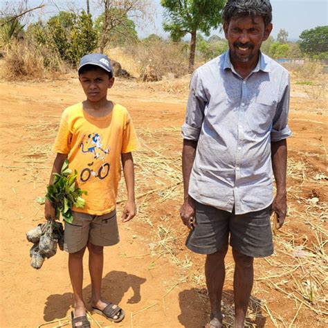 Tally’s Agroforest Initiative: A Green Future for Farmers and the ...