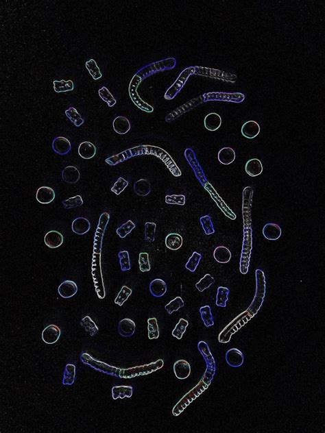 Image result for Binary Thresholding OpenCV Python