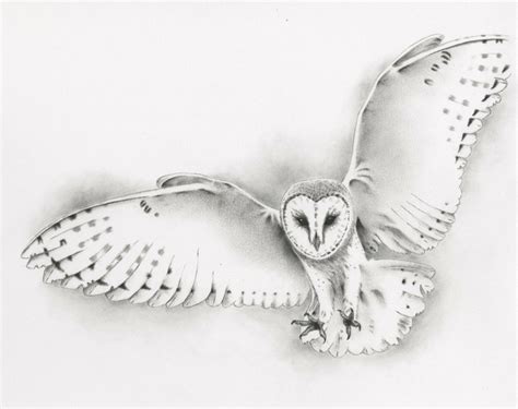 ORIGINAL Pencil Flying Barn Owl Drawing, Owl art, Barn Owl Sketch ...