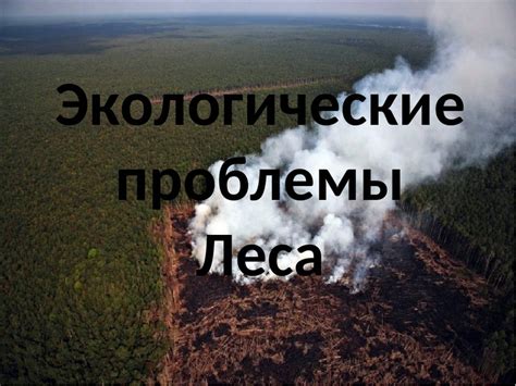 Экологические проблемы смешанных и широколиственных лесов в россии кратко