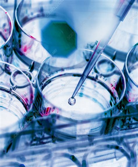 Biotechnology Research Topics 的图像结果