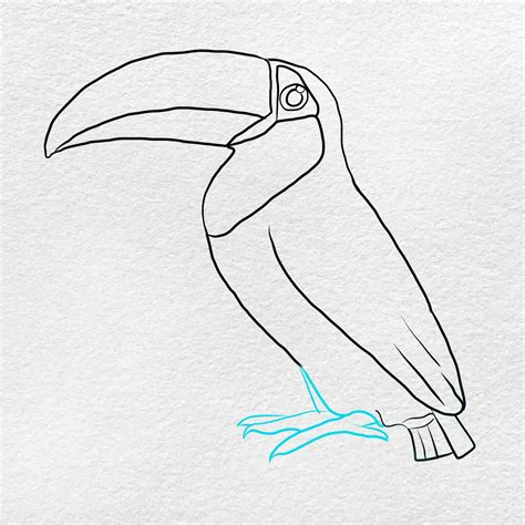 Easy To Draw Toucan