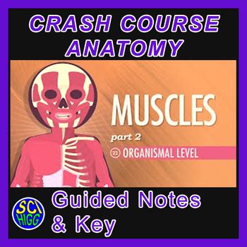 Crash Course Muscles 的图像结果