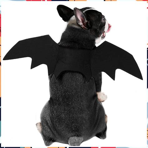 Dog Bat Costume