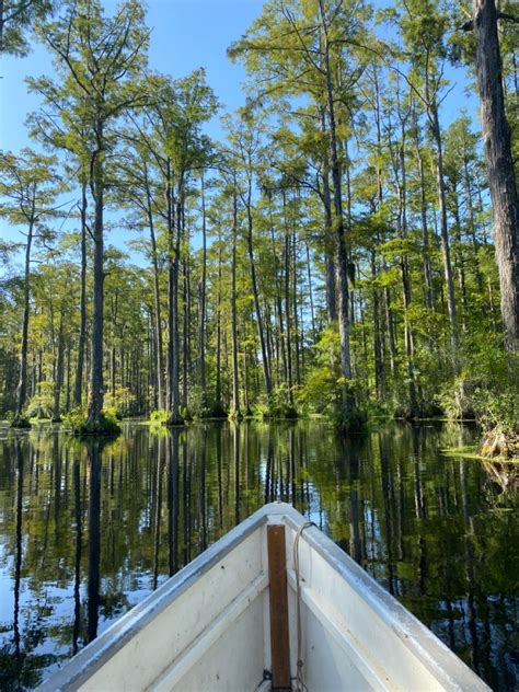 Image result for The Notebook Lake Scene