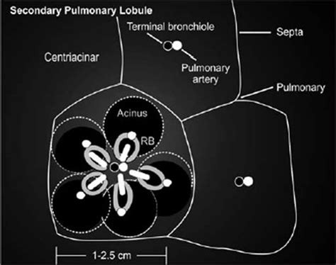 JaypeeDigital | eBook Reader