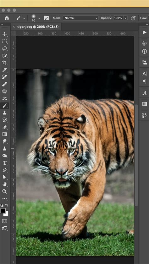 Image result for Super Zoom Tutorial