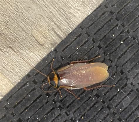 It is 2022 and they have finally gathered enough brain cells together ...