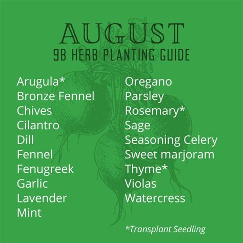 Zone 9b August Planting Guide | 1 great tool for growing