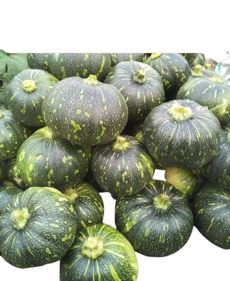 Kalindi Pumpkin Seeds - Tokita | F1 Hybrid | Buy Online at Best Price ...