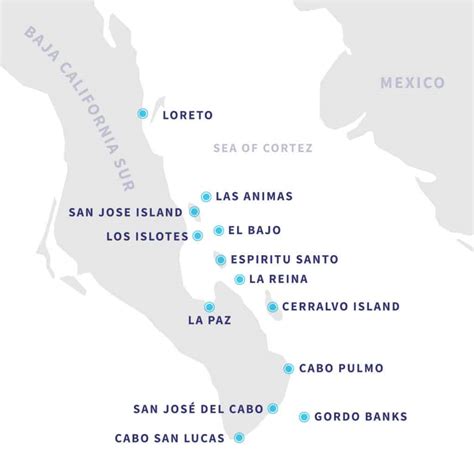 Sea of Cortez Liveaboard Cruises, Sailing, Diving | Baja, Mexico
