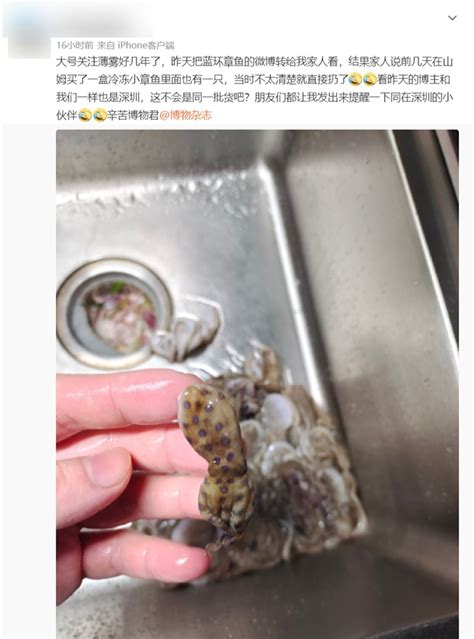 深圳一网友称在山姆买到蓝环章鱼 官方回应：正在核实