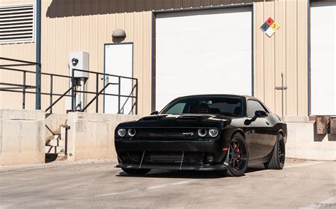 Black Hell Cat Wallpapers - Top Free Black Hell Cat Backgrounds - WallpaperAccess