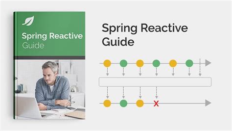Spring Reactive Project 的图像结果