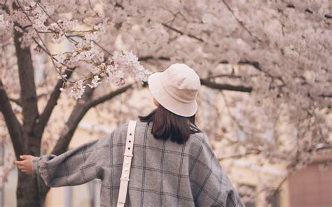 Image result for Springtime Background Music