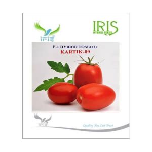 Buy Iris Hybrid F1 Hybrid Tomato Kartik 09 @ ₹931 | BigHaat