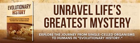 Evolution Book 的图像结果