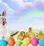 Image result for Easter Bunny Rabbit Screensavers